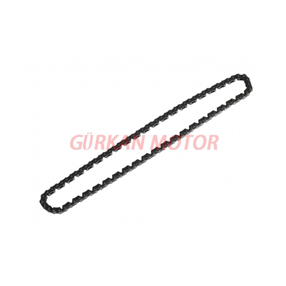 EKSANTRİK ZİNCİRİ [100L] CG - WİNDY - TK03